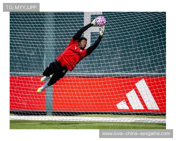 专家建议谢什科谨慎回归 专家建议谢什科谨慎回归