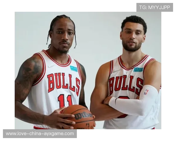 公牛队表现稳健,期待突破,公牛的队 公牛队表现稳健,期待突破,公牛的队